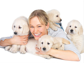 Dog Walking & Pet Sitting