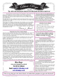  Our newsletter - edition 1