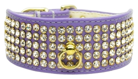 New Dog Collars online now 