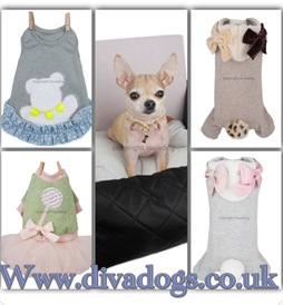 Louis Dog Brand NEW COLLECTION Available online NOW