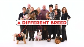 Our Update episode 5 - The Honey moon