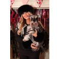 Hollyoaks actress and TV star Annie Cooper with her adorable pooch visit Diva Dogs x