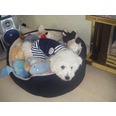 Mr Vuitton chilling in his Blue Sweetiepie romper from Diva Dogs.