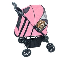 Furniture & Doggy Essentials