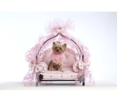 Beds,Furniture & Essentials