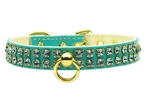 Swanky Dog collar Aqua