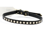 Single Row Bling Collar - Black