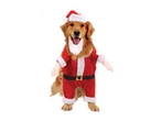 Father Christmas outfit for dogs and cats