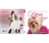 Diva Dogs - Perfect pampering for your pooch (SIGNED COPY)