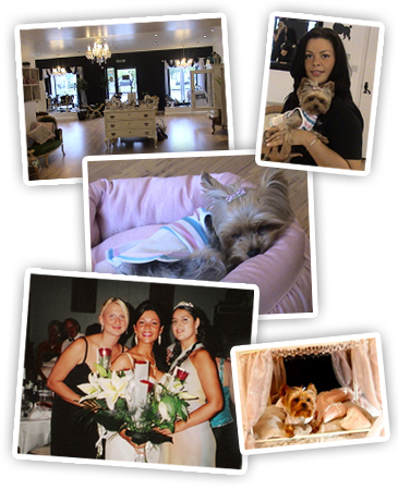 Diva Dogs Team Photos