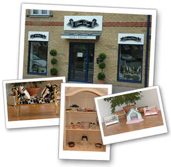 Diva Dogs in Chelmsford, Essex