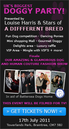 UK's Biggest Doggy Party