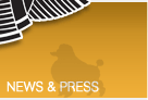 News & Press